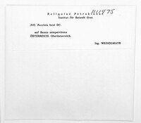 Puccinia buxi image